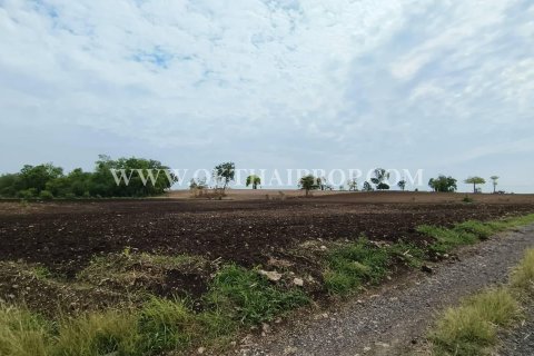 Land in Lopburi, Thailand 25600 sq.m. № 169091 - photo 3