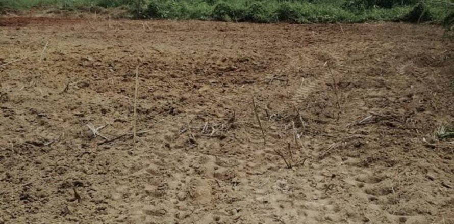 Terrain à Chiang Rai, Thaïlande № 114685