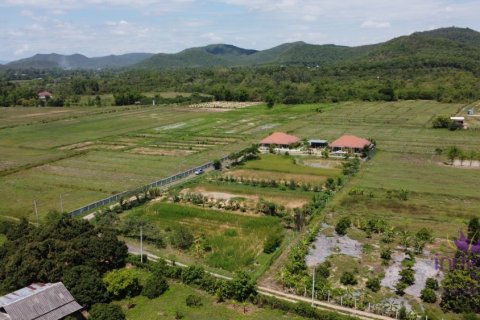Terrain à Lamphun, Thaïlande № 200408 - photo 10