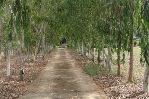 Villa in Hua Hin, Thailand 4 bedrooms № 139625 - photo 4