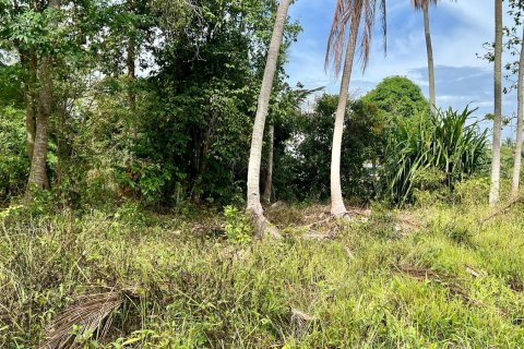 Studio à Ko Samui, Thaïlande № 172439 - photo 3