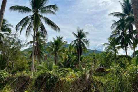 Studio à Ko Samui, Thaïlande № 172439 - photo 2