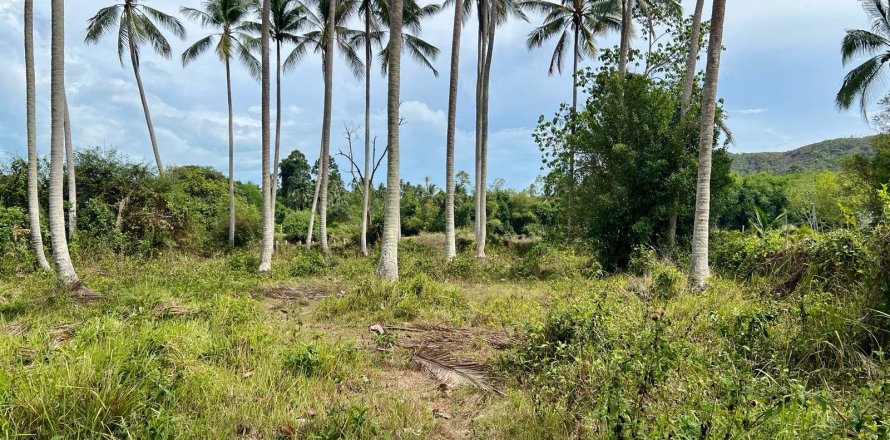 Studio à Ko Samui, Thaïlande № 172439