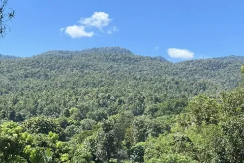 Вилла в Чиангмае, Таиланд с 7 спальнями  № 149780 - фото 23