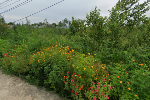 Land in Cha-am, Thailand 6400 sq.m. № 159379 - photo 5