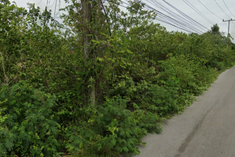 Land in Cha-am, Thailand 6400 sq.m. № 159379 - photo 2