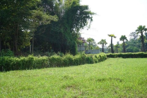 Land in Chiang Mai, Thailand № 120112 - photo 9