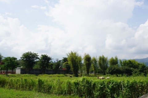 Land in Chiang Mai, Thailand № 120112 - photo 4