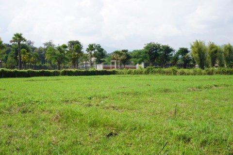 Land in Chiang Mai, Thailand № 120112 - photo 8