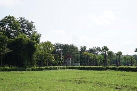 Land in Chiang Mai, Thailand № 120112 - photo 2