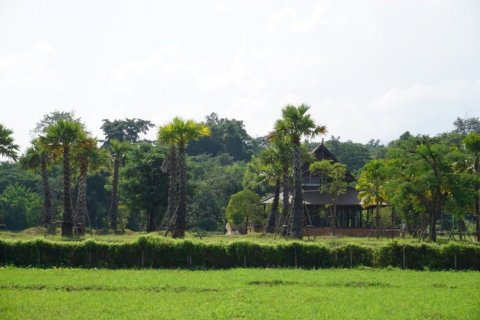 Land in Chiang Mai, Thailand № 120112 - photo 6