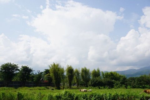 Land in Chiang Mai, Thailand № 120112 - photo 5