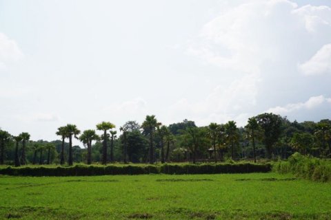 Land in Chiang Mai, Thailand № 120112 - photo 3