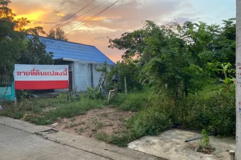 Land in Hat Yai, Thailand 292.4 sq.m. № 151999 - photo 1