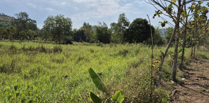 Земельный участок в Каенг Хое, Таиланд 10859м2  № 163068