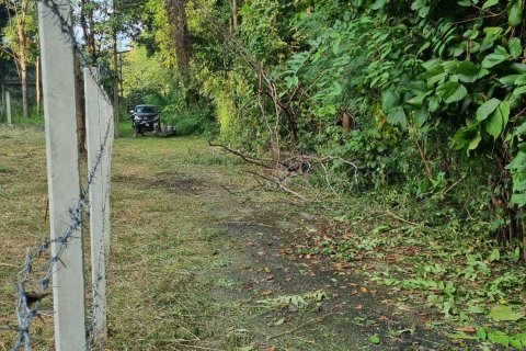 Land in Mae Rim, Thailand 1264 sq.m. № 163067 - photo 2