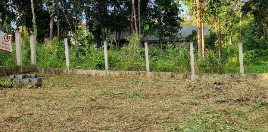 Land in Mae Rim, Thailand 1264 sq.m. № 163067