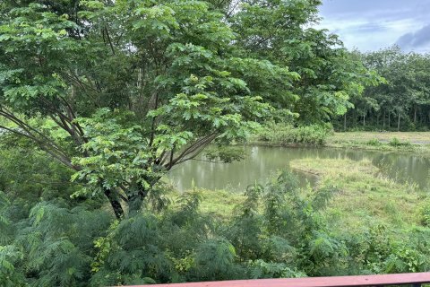 Maison à Phuket, Thaïlande 3 chambres № 135609 - photo 27