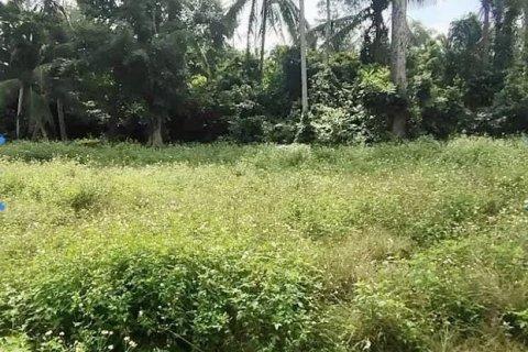 Terrain à Ko Samui, Thaïlande 698 m2 № 158165 - photo 5