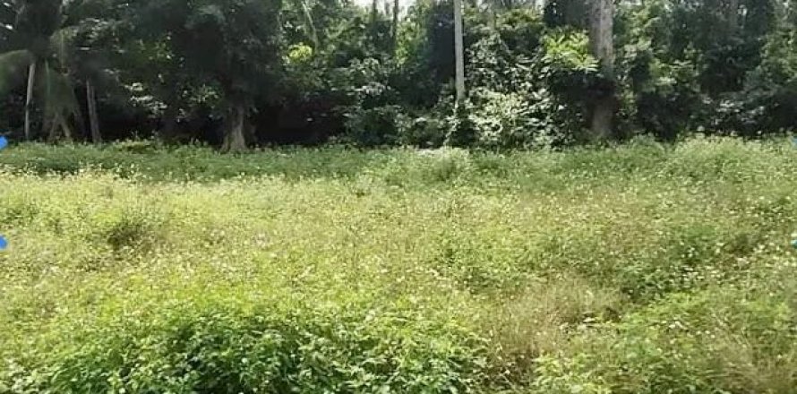 Земельный участок в Самуи, Таиланд 698м2  № 158165