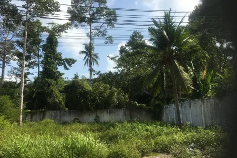 Земельный участок в Самуи, Таиланд 698м2  № 158165 - фото 6