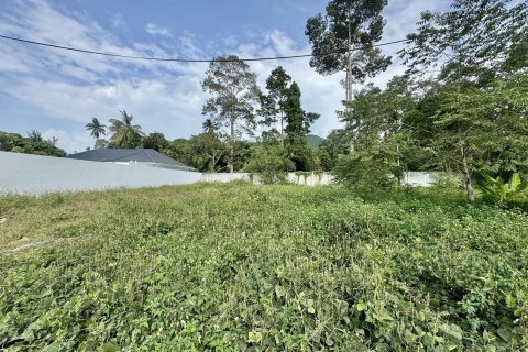 Terrain à Ko Samui, Thaïlande 698 m2 № 158165 - photo 10