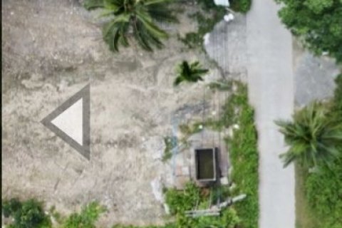 Terrain à Ko Samui, Thaïlande 698 m2 № 158165