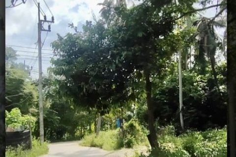 Terrain à Ko Samui, Thaïlande 698 m2 № 158165 - photo 4