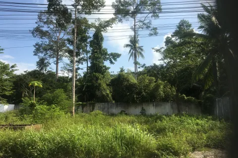 Земельный участок в Самуи, Таиланд 698м2  № 158165 - фото 7