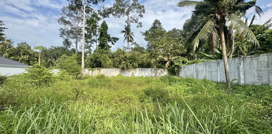 Terrain à Ko Samui, Thaïlande 698 m2 № 158165