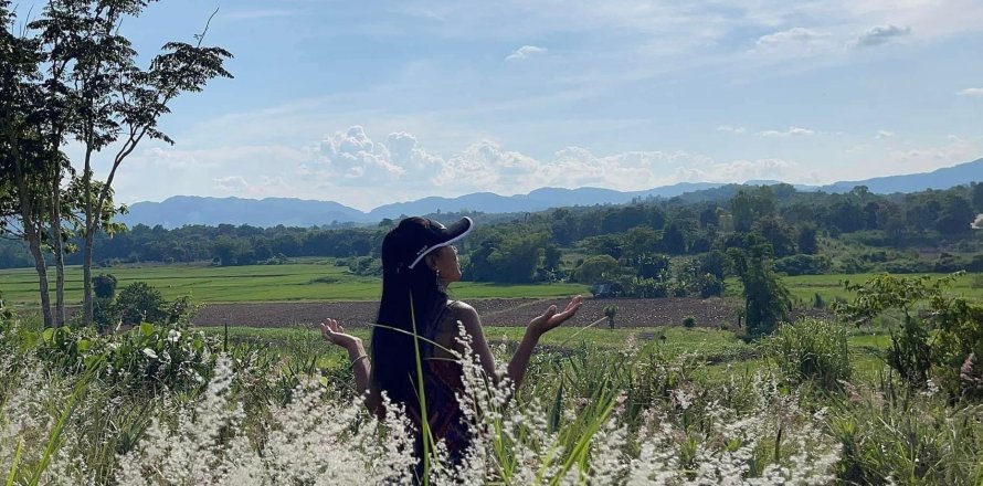 Terrain à Mae Chan, Thaïlande 5520 m2 № 158160