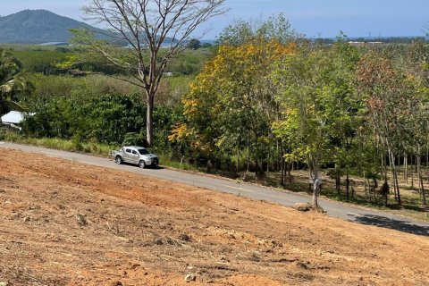 Land in Mai Khao, Thailand 10000 sq.m. № 162018 - photo 15