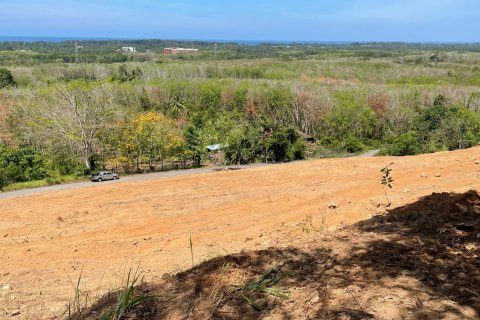 Land in Mai Khao, Thailand 10000 sq.m. № 162018 - photo 13