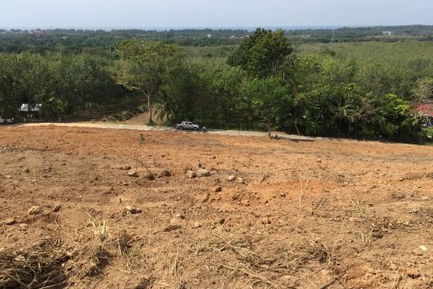 Land in Mai Khao, Thailand 10000 sq.m. № 162018 - photo 8