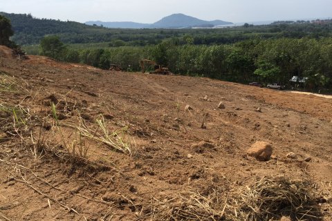 Land in Mai Khao, Thailand 10000 sq.m. № 162018 - photo 9