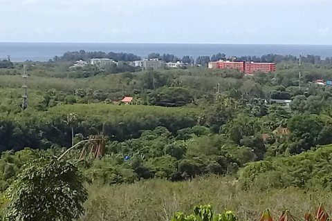 Land in Mai Khao, Thailand 10000 sq.m. № 162018