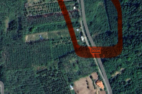 Land in Mai Khao, Thailand 10000 sq.m. № 162018 - photo 24