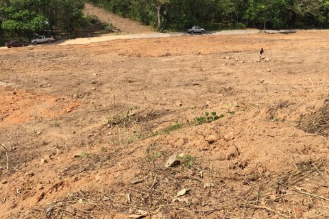 Land in Mai Khao, Thailand 10000 sq.m. № 162018 - photo 11