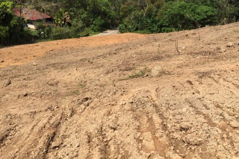 Land in Mai Khao, Thailand 10000 sq.m. № 162018 - photo 6