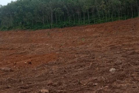 Land in Mai Khao, Thailand 10000 sq.m. № 162018 - photo 19