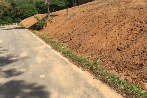 Land in Mai Khao, Thailand 10000 sq.m. № 162018 - photo 4
