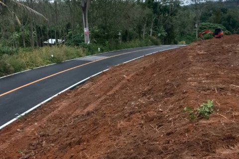 Land in Mai Khao, Thailand 10000 sq.m. № 162018 - photo 20