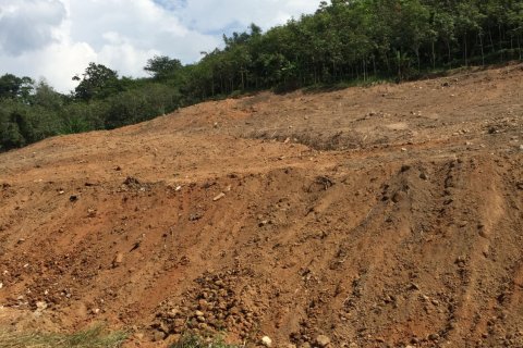 Land in Mai Khao, Thailand 10000 sq.m. № 162018 - photo 5
