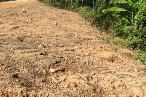 Land in Mai Khao, Thailand 10000 sq.m. № 162018 - photo 7