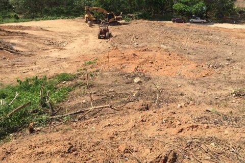 Land in Mai Khao, Thailand 10000 sq.m. № 162018 - photo 12