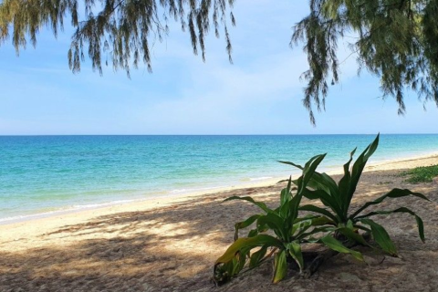 Land in Mai Khao, Thailand 10000 sq.m. № 162018 - photo 16