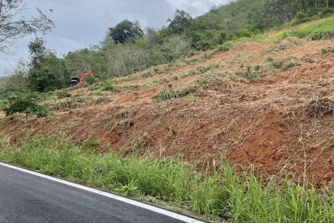 Land in Mai Khao, Thailand 10000 sq.m. № 162018 - photo 17