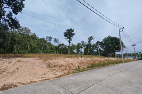 Земельный участок в Самуи, Таиланд 10028м2 № 151350 - фото 1