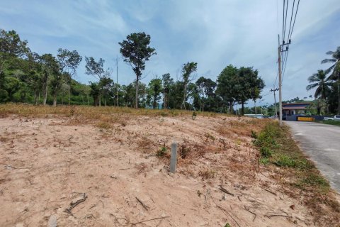 Земельный участок в Самуи, Таиланд 10028м2 № 151350 - фото 14