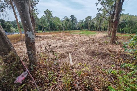 Земельный участок в Самуи, Таиланд 10028м2 № 151350 - фото 9